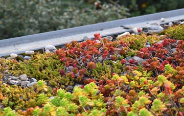 the cost of Shefford Woodlands green roof installation